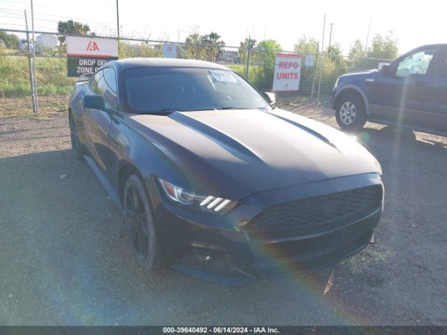 Photo 5 VIN: 1FA6P8AM7G5327116 - FORD MUSTANG 