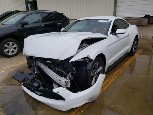 Photo 1 VIN: 1FA6P8AM7G5329559 - FORD MUSTANG 