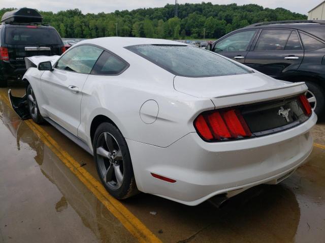 Photo 2 VIN: 1FA6P8AM7G5329559 - FORD MUSTANG 