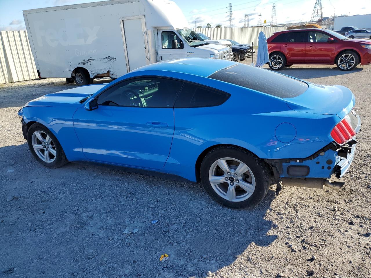 Photo 1 VIN: 1FA6P8AM7H5209732 - FORD MUSTANG 