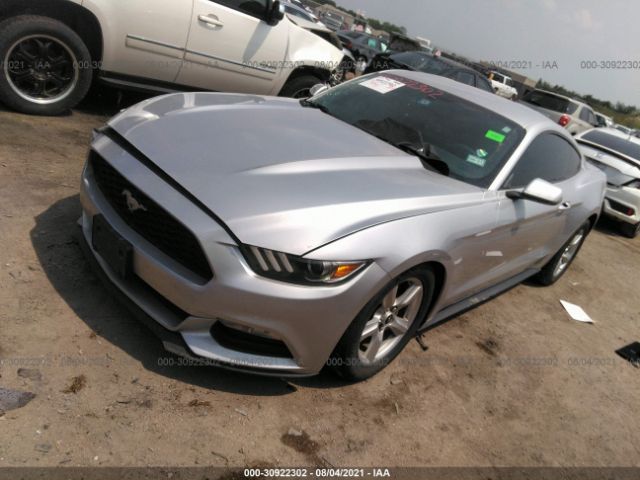 Photo 1 VIN: 1FA6P8AM7H5249826 - FORD MUSTANG 