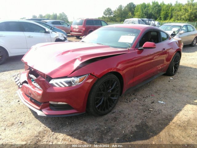 Photo 1 VIN: 1FA6P8AM7H5289260 - FORD MUSTANG 