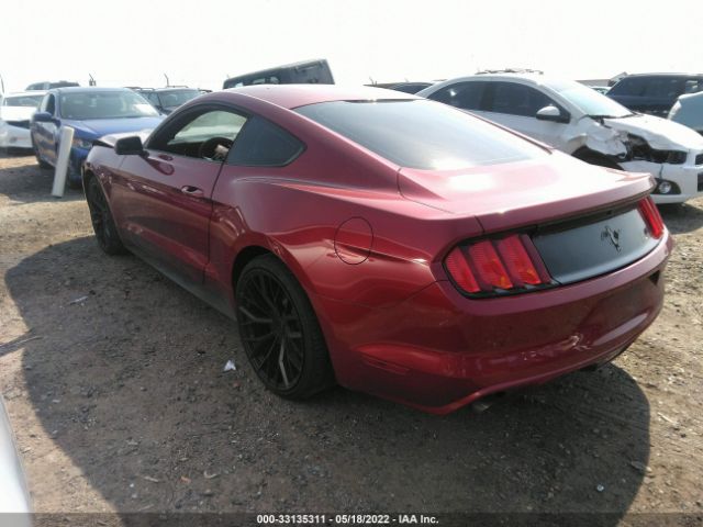 Photo 2 VIN: 1FA6P8AM7H5289260 - FORD MUSTANG 