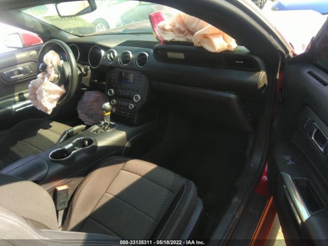 Photo 4 VIN: 1FA6P8AM7H5289260 - FORD MUSTANG 