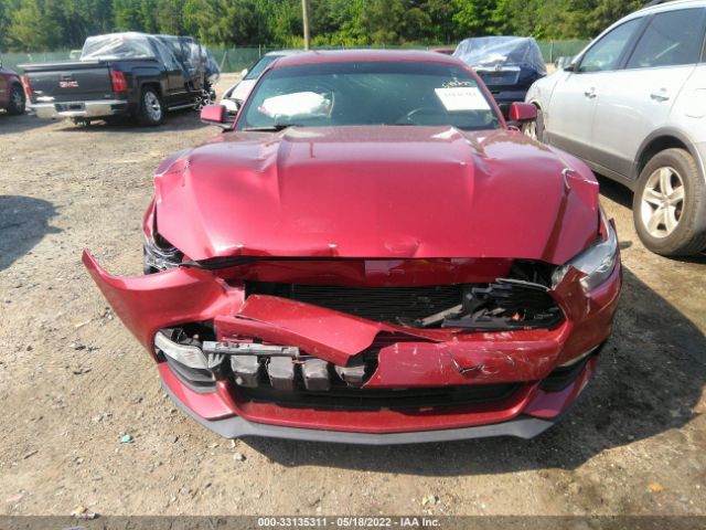 Photo 5 VIN: 1FA6P8AM7H5289260 - FORD MUSTANG 