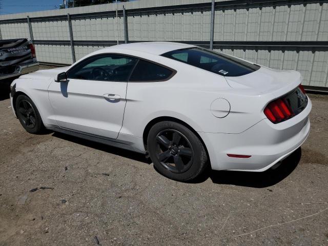 Photo 1 VIN: 1FA6P8AM7H5289520 - FORD MUSTANG 