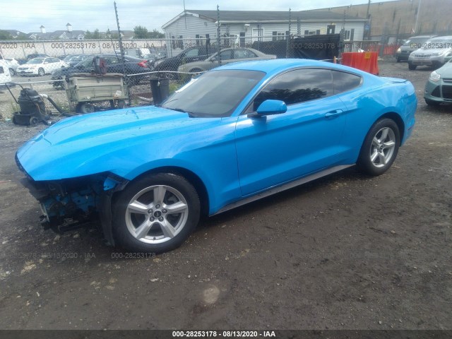 Photo 1 VIN: 1FA6P8AM7H5301620 - FORD MUSTANG 