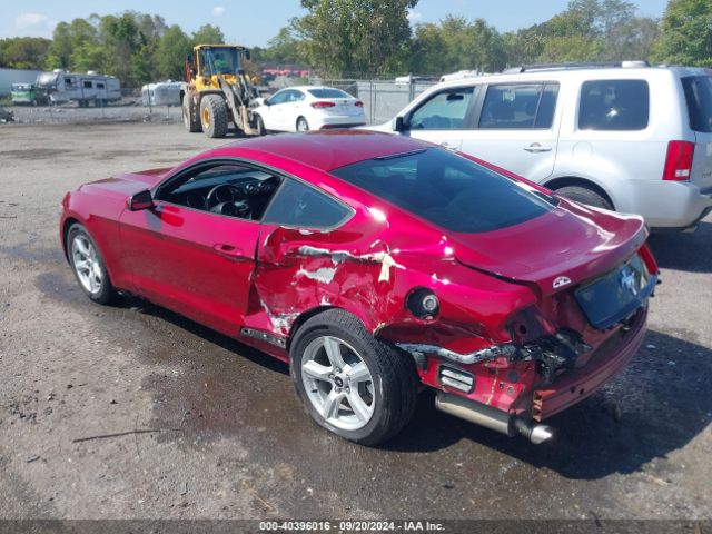 Photo 2 VIN: 1FA6P8AM7H5309006 - FORD MUSTANG 