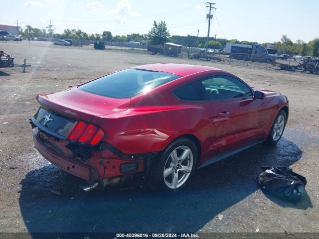 Photo 3 VIN: 1FA6P8AM7H5309006 - FORD MUSTANG 