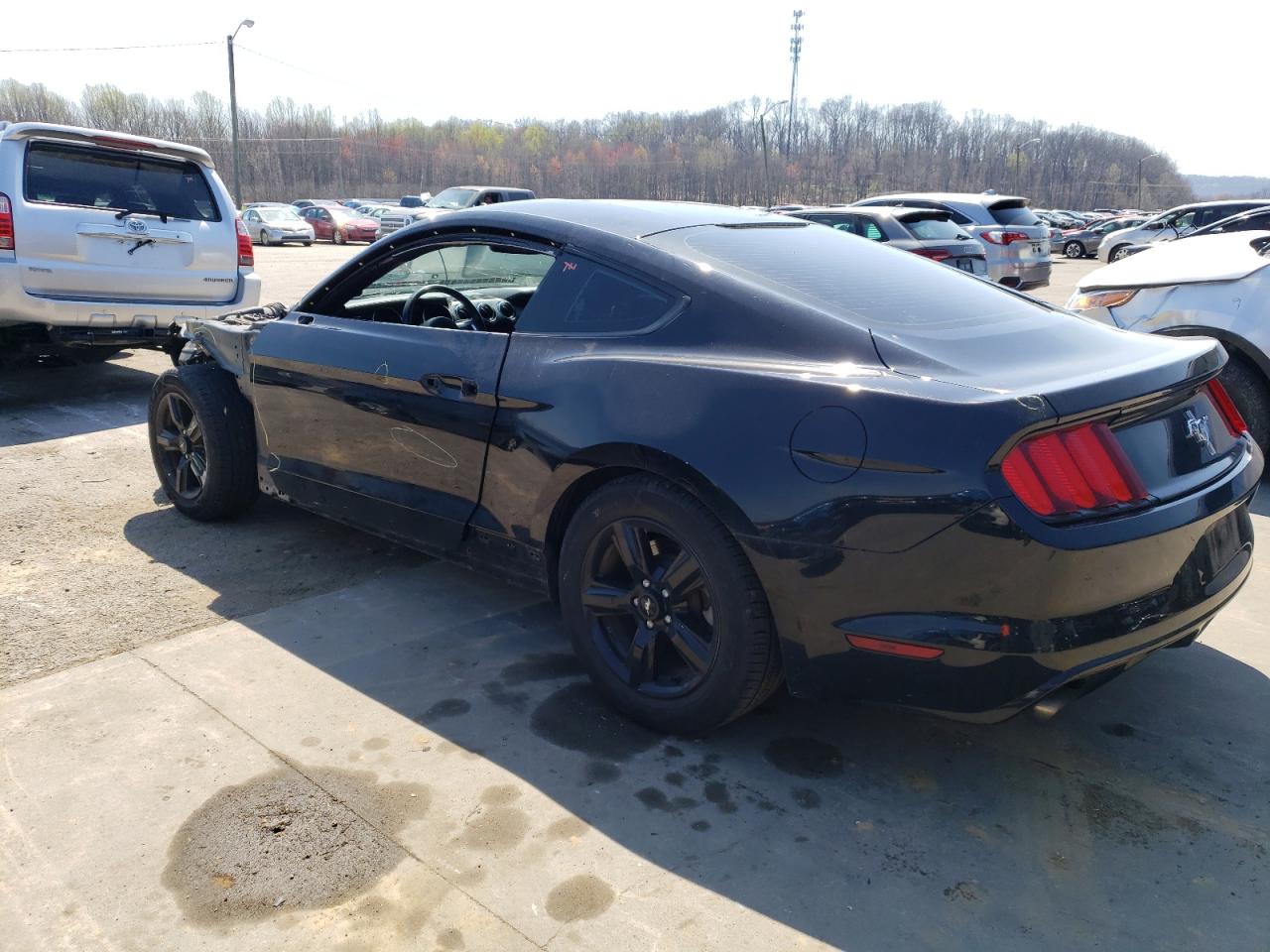 Photo 1 VIN: 1FA6P8AM7H5314772 - FORD MUSTANG 