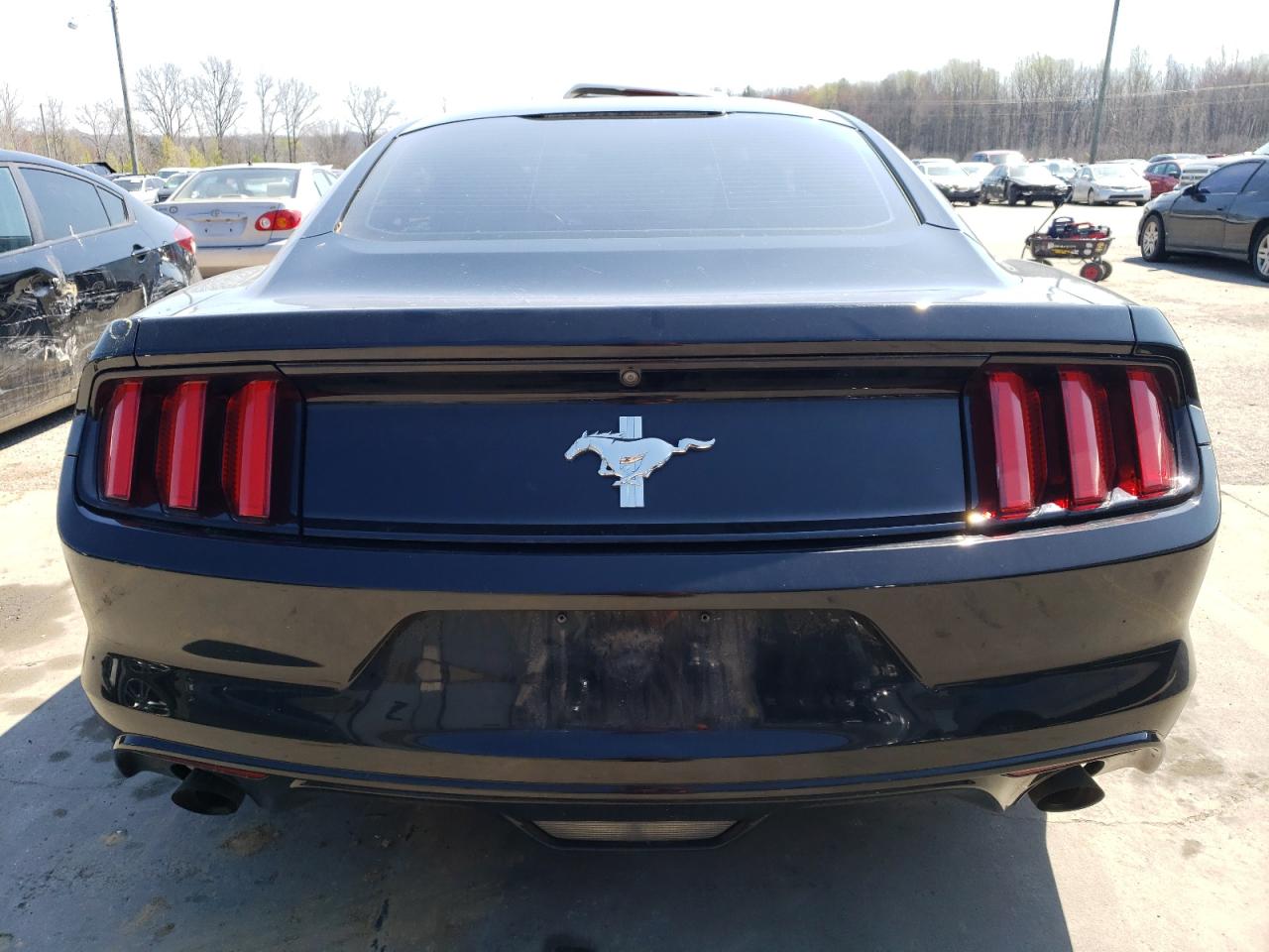 Photo 5 VIN: 1FA6P8AM7H5314772 - FORD MUSTANG 