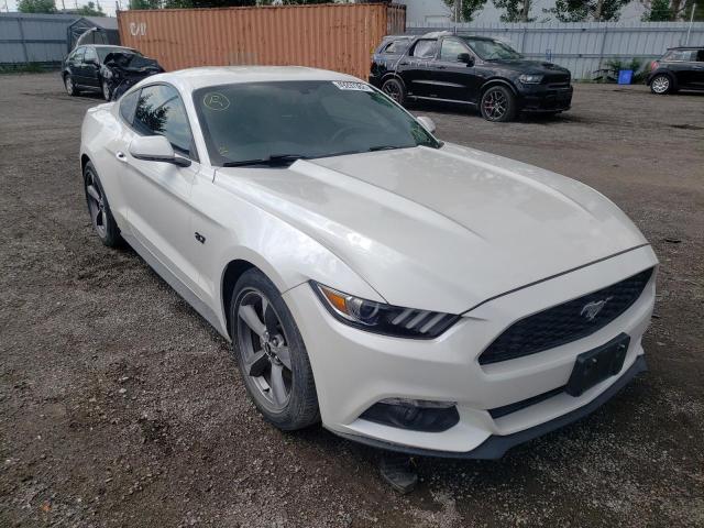 Photo 0 VIN: 1FA6P8AM7H5319096 - FORD MUSTANG 