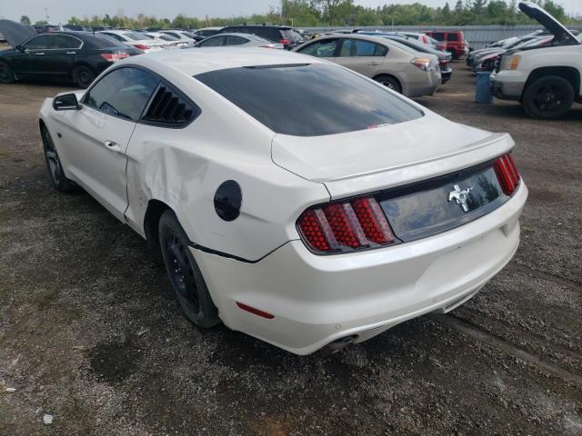 Photo 2 VIN: 1FA6P8AM7H5319096 - FORD MUSTANG 