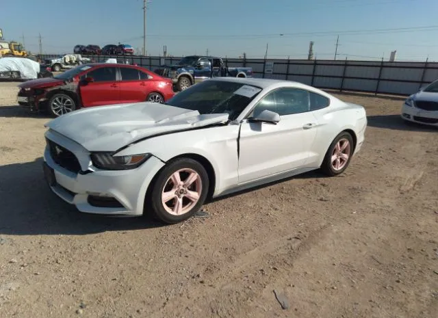 Photo 1 VIN: 1FA6P8AM7H5346136 - FORD MUSTANG 