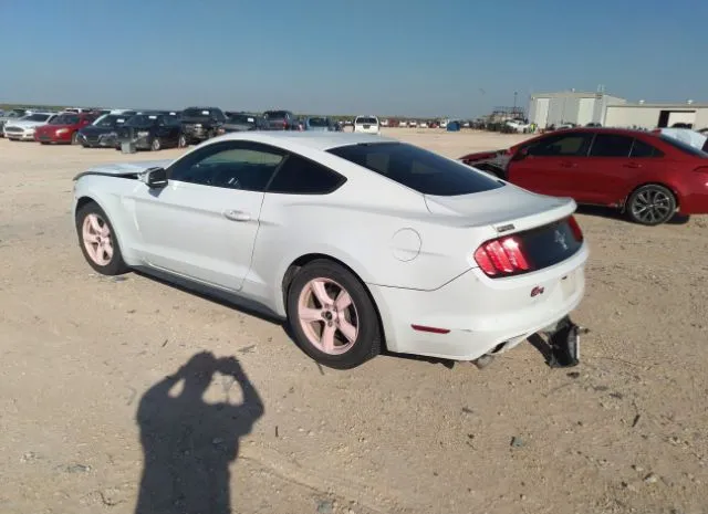 Photo 2 VIN: 1FA6P8AM7H5346136 - FORD MUSTANG 