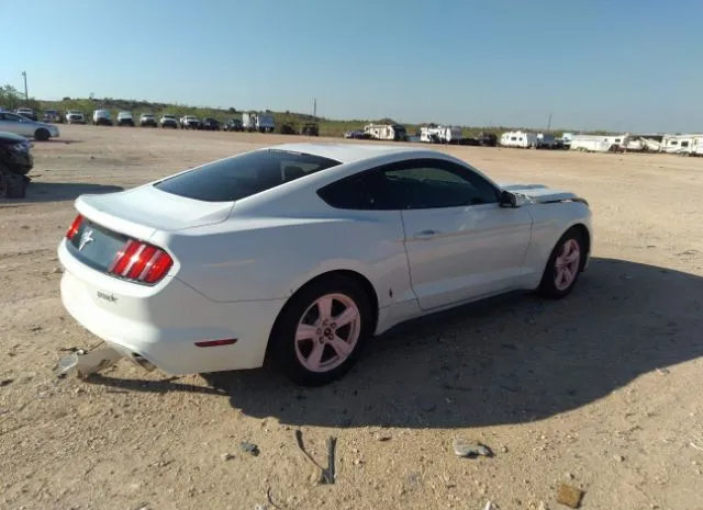 Photo 3 VIN: 1FA6P8AM7H5346136 - FORD MUSTANG 