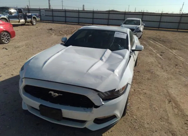 Photo 5 VIN: 1FA6P8AM7H5346136 - FORD MUSTANG 