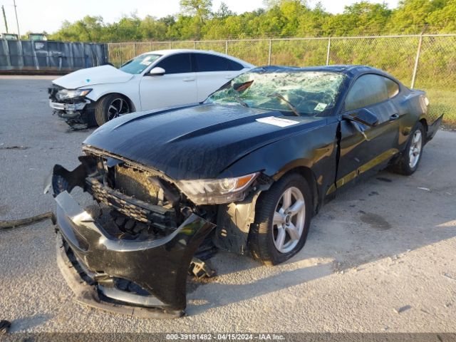 Photo 1 VIN: 1FA6P8AM7H5356861 - FORD MUSTANG 