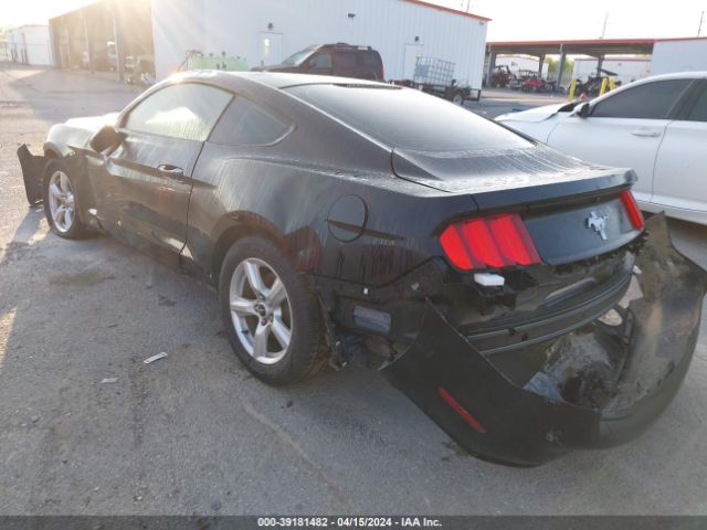 Photo 2 VIN: 1FA6P8AM7H5356861 - FORD MUSTANG 