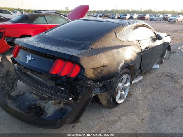 Photo 3 VIN: 1FA6P8AM7H5356861 - FORD MUSTANG 