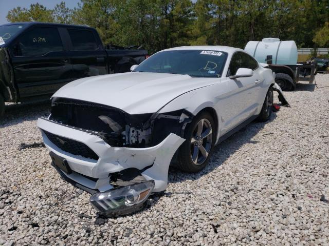 Photo 1 VIN: 1FA6P8AM8F5318908 - FORD MUSTANG 