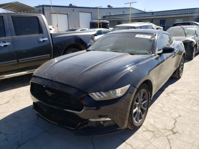 Photo 1 VIN: 1FA6P8AM8F5337006 - FORD MUSTANG 