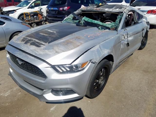 Photo 1 VIN: 1FA6P8AM8F5364206 - FORD MUSTANG 