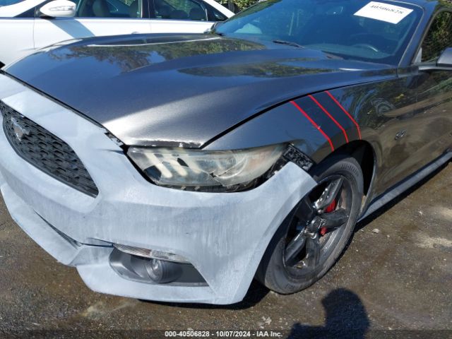 Photo 5 VIN: 1FA6P8AM8G5204912 - FORD MUSTANG 