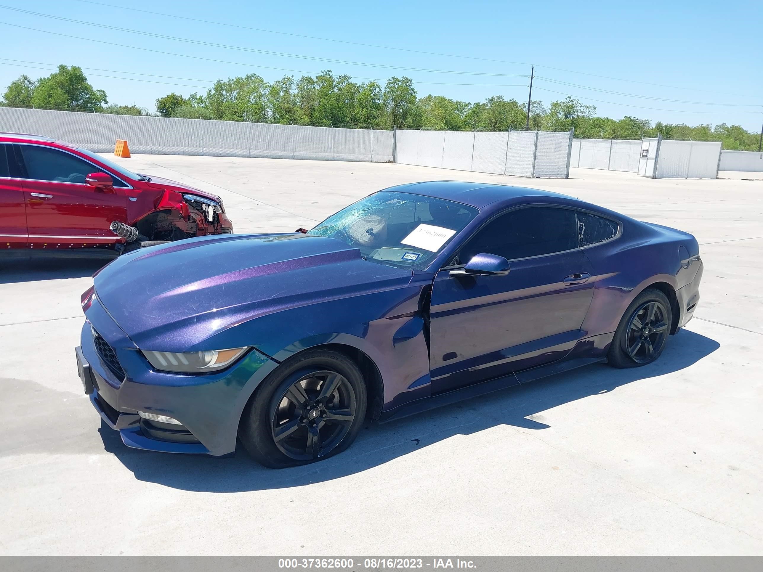 Photo 1 VIN: 1FA6P8AM8G5215652 - FORD MUSTANG 