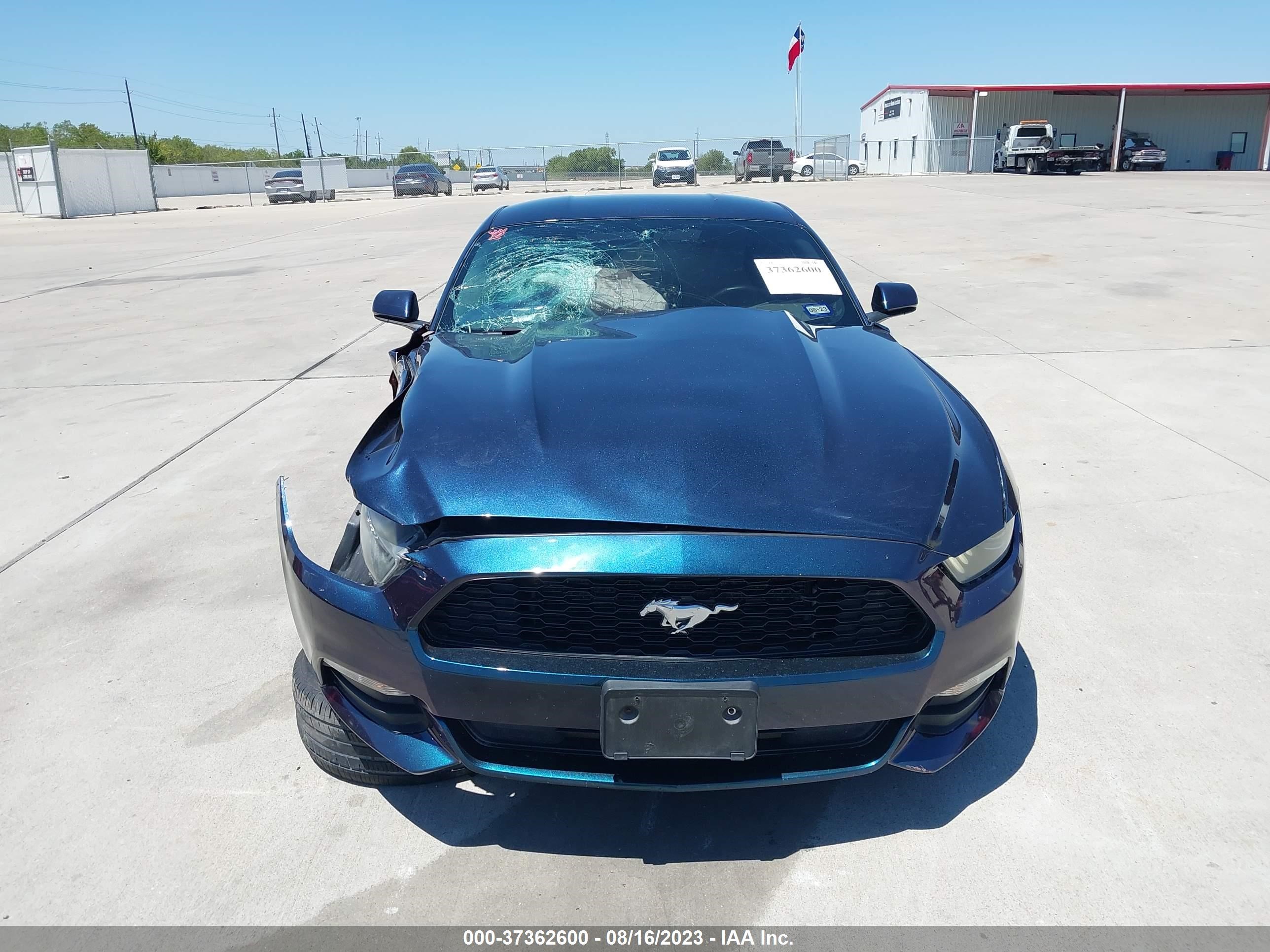 Photo 12 VIN: 1FA6P8AM8G5215652 - FORD MUSTANG 