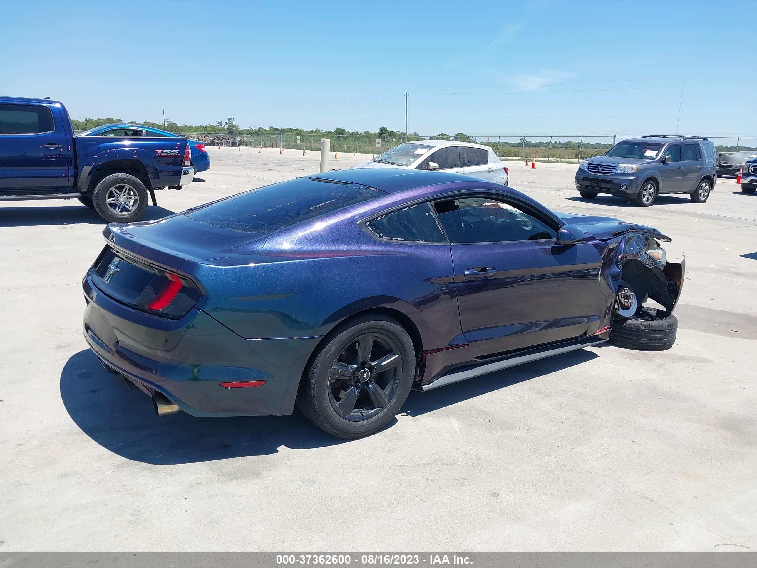 Photo 3 VIN: 1FA6P8AM8G5215652 - FORD MUSTANG 