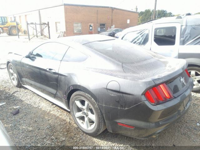 Photo 2 VIN: 1FA6P8AM8G5218695 - FORD MUSTANG 