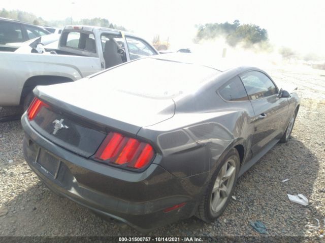 Photo 3 VIN: 1FA6P8AM8G5218695 - FORD MUSTANG 