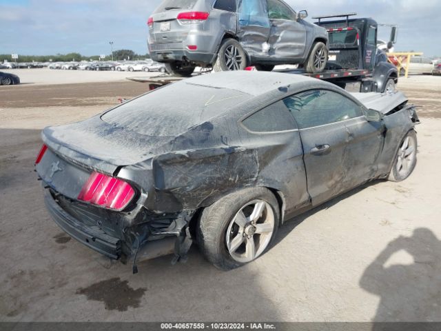 Photo 3 VIN: 1FA6P8AM8G5225226 - FORD MUSTANG 