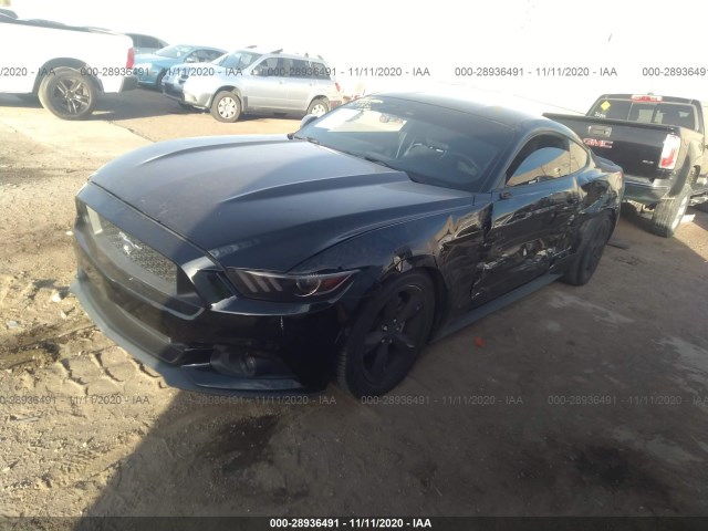 Photo 1 VIN: 1FA6P8AM8G5230894 - FORD MUSTANG 