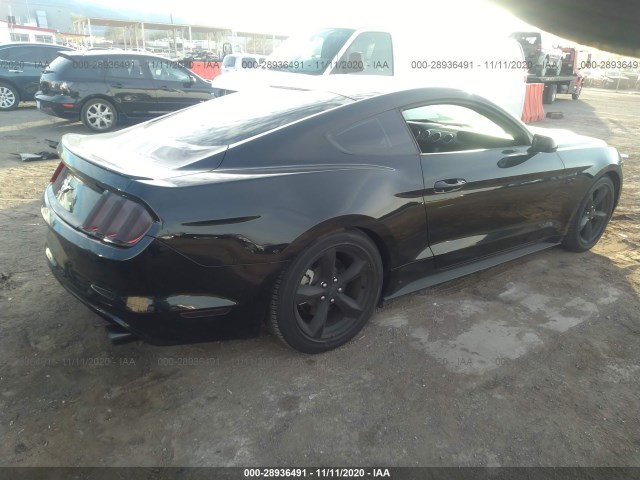 Photo 3 VIN: 1FA6P8AM8G5230894 - FORD MUSTANG 