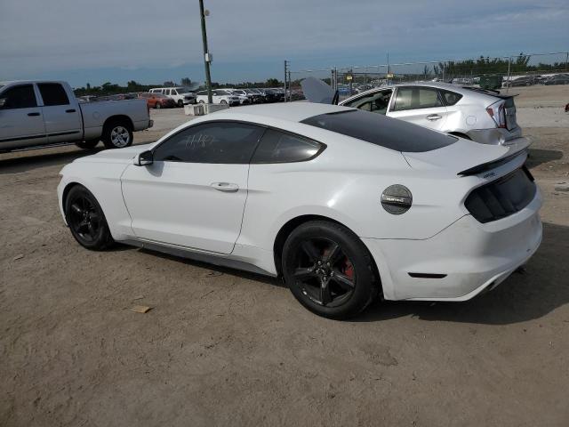 Photo 1 VIN: 1FA6P8AM8G5251437 - FORD ALL MODELS 