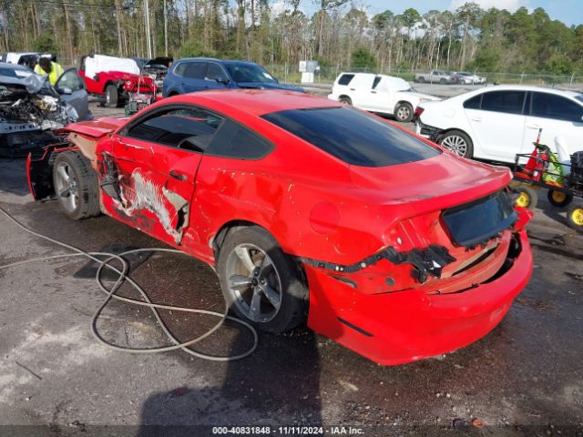 Photo 2 VIN: 1FA6P8AM8G5256203 - FORD MUSTANG 