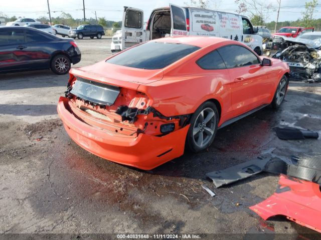 Photo 3 VIN: 1FA6P8AM8G5256203 - FORD MUSTANG 