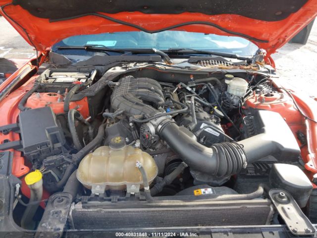 Photo 9 VIN: 1FA6P8AM8G5256203 - FORD MUSTANG 