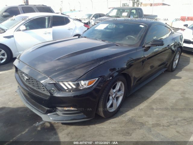 Photo 1 VIN: 1FA6P8AM8G5292067 - FORD MUSTANG 