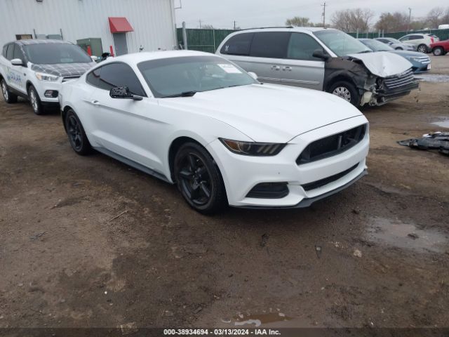 Photo 0 VIN: 1FA6P8AM8G5294577 - FORD MUSTANG 