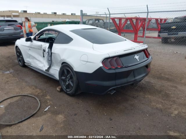 Photo 2 VIN: 1FA6P8AM8G5294577 - FORD MUSTANG 