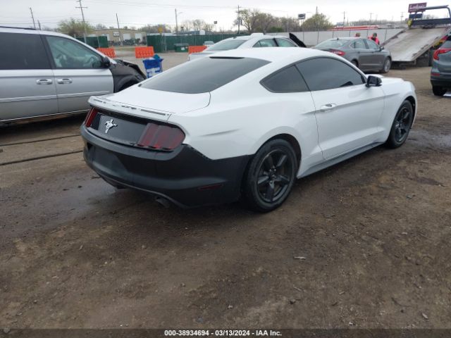 Photo 3 VIN: 1FA6P8AM8G5294577 - FORD MUSTANG 