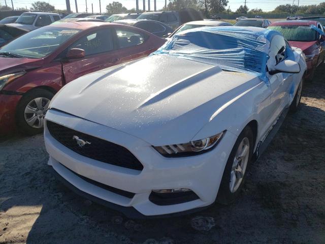 Photo 1 VIN: 1FA6P8AM8G5294627 - FORD MUSTANG 