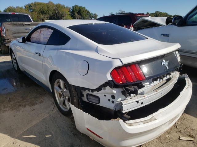 Photo 2 VIN: 1FA6P8AM8G5294627 - FORD MUSTANG 