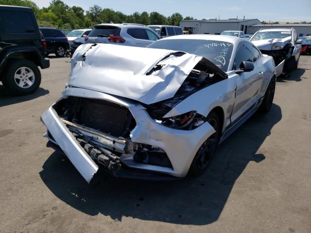 Photo 1 VIN: 1FA6P8AM8G5296281 - FORD MUSTANG 