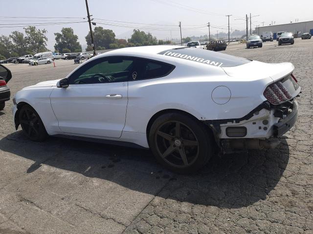 Photo 1 VIN: 1FA6P8AM8G5303326 - FORD MUSTANG 