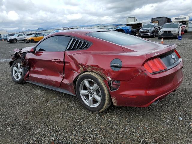 Photo 1 VIN: 1FA6P8AM8G5304153 - FORD MUSTANG 