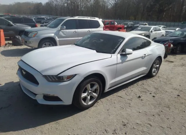 Photo 1 VIN: 1FA6P8AM8G5316299 - FORD MUSTANG 